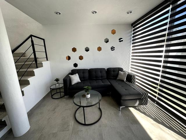 Foto de la galeria de imagenes
